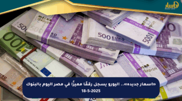 «أسعار جديدة».. اليورو يسجل رقمًا مميزًا في مصر اليوم بالبنوك 18-5-2025